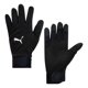 thumbnail image 1 of Guantes Invierno Puma Teamliga 21 Winter Negro Running Negro L/xl, 1 of 6