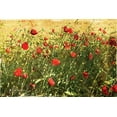 thumbnail image 2 of Villa, Mlli 18x13 Gold Ornate Wood Framed with Double Matting Museum Art Print Titled - Pack Of Poppies, 2 of 4