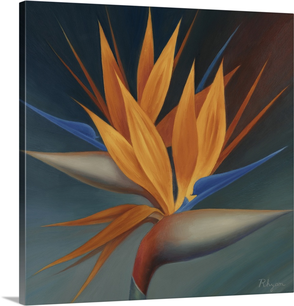 Great BIG Canvas | "Bird of Paradise II" Canvas Wall Art - Walmart.com