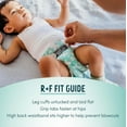 thumbnail image 2 of Rascals Premium Diapers, 2 of 9