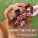 thumbnail image 2 of Beef Flavored Gorilla Ape Toys for Dogs, Dog Traning Chew Toys Anxiety Relief Toy for Medium Large Dog, 2 of 5