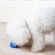 thumbnail image 4 of Juguetes interactivos para perros con pelota para perros medianos, alivio de la ansiedad, juguetes para perros pequeños para limpieza de dientes de perros, juguetes para perros al aire libre, los mej JAMW  Sencillez, 4 of 5