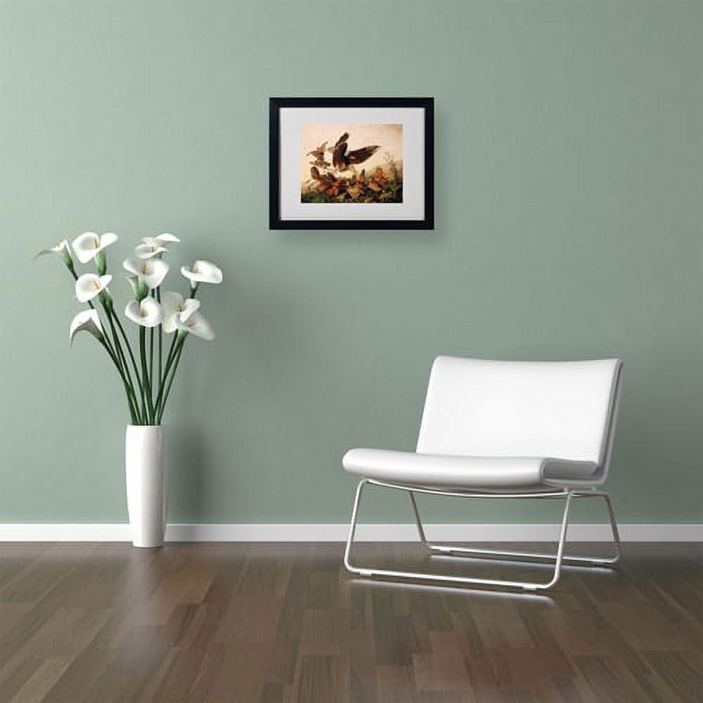 Trademark Fine Art "Red-Shouldered Hawk" Canvas Art by John James Audubon, Black Frame