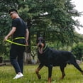 thumbnail image 4 of Laisse pour Chien Premium Mains Libres Longueur Poignée Laisse Élastique Ceinture Réglable Corde Rétractable pour Marche Randonnée Jogging Vélo Course Noir Vert 2.5mmx140-170c, 4 of 5