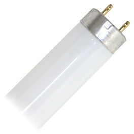 Round Pure Philips 280859 - Straight T8 Fluorescent Tube | LightBulbs.com