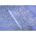 thumbnail image 1 of Ahgly Company Machine Washable Indoor Rectangle Transitional Day Sky Blue Area Rugs, 5' x 8', 1 of 7