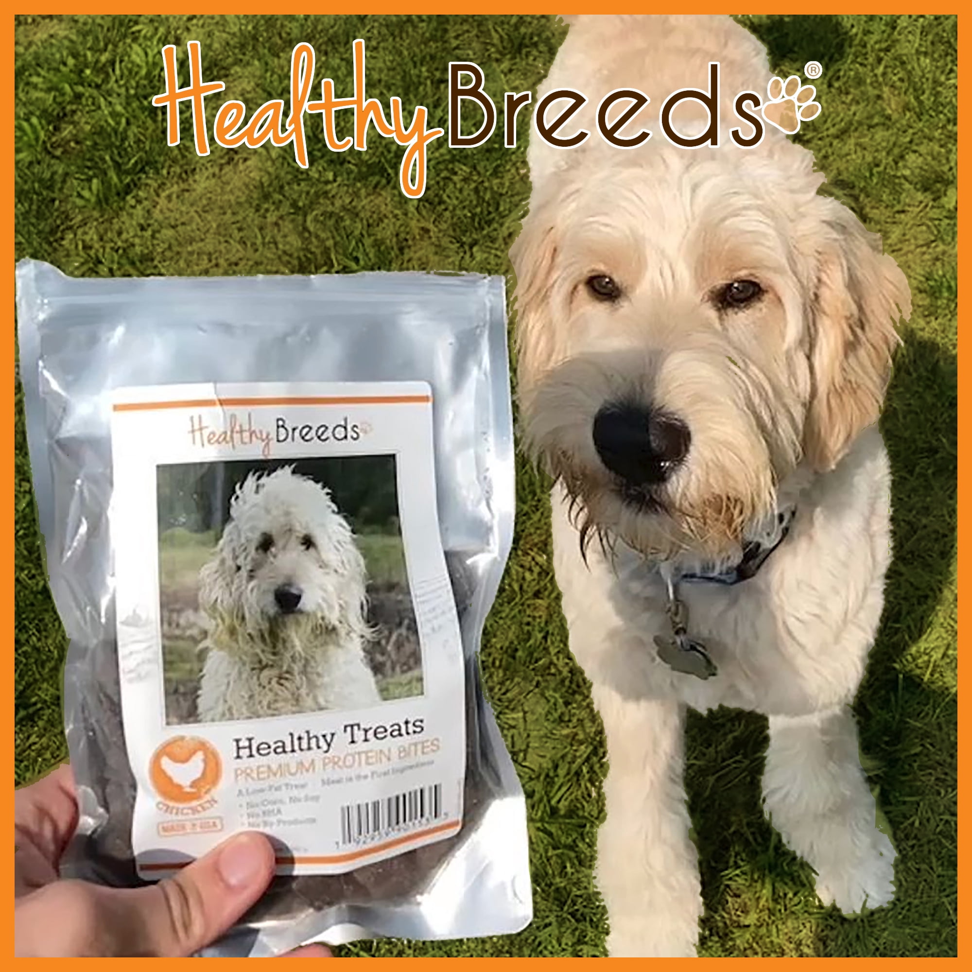 Healthy Breeds Sealyham Terrier Healthy Treats Premium Protein Bites Chicken Dog Treats 10 oz