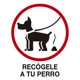 thumbnail image 1 of Señalamiento: "Recógele a tu perro", en blanco y rojo. Impresa sobre plástico estireno calibre 40, ideal para exteriores, medidas: 20 x 20 cm. Señalética, Letrero, Señal cuadrada informativa., 1 of 4