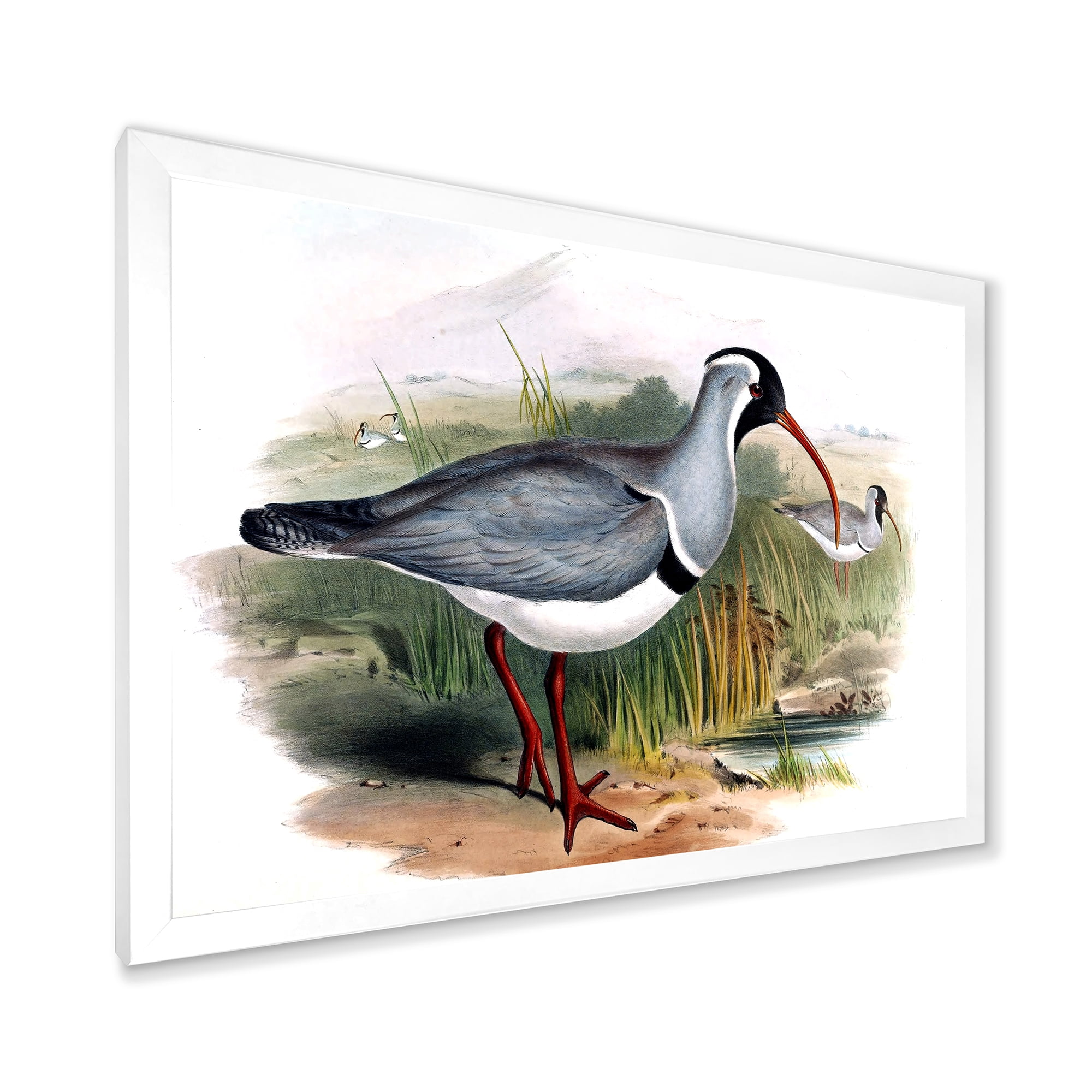 Designart 'Vintage Countryside Birds In Wild' Farmhouse Framed Art Print