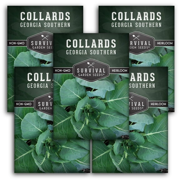 5 Packs Georgia Southern Collard Greens Seed - Non-GMO Heirloom Full Sun Biennial Vegetable