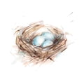 thumbnail image 2 of Harper, Ethan 12x12 White Modern Wood Framed Museum Art Print Titled - Bird Life III, 2 of 4