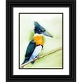 thumbnail image 1 of Shefranov, Olga 20x24 Black Ornate Wood Framed with Double Matting Museum Art Print Titled - Black Beak II, 1 of 4