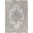 thumbnail image 1 of Dynamic Rugs IM2412259516 2 ft. x 3 ft. 11 in. Imperial 12259 Rectangle Transitional Area Rug - 516 Grey, 1 of 1