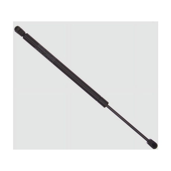 Hatch Strut - Compatible with 2000 - 2007 Ford Focus Hatchback 2001 2002 2003 2004 2005 2006