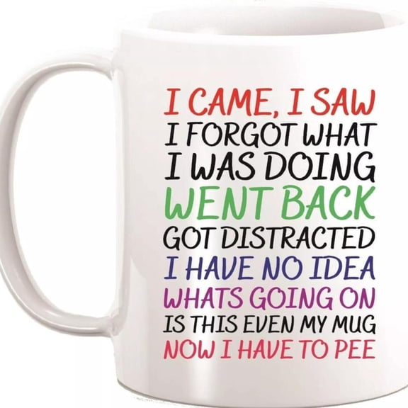 I Came I Saw I Forgot Funny Novelty Coffee Mug