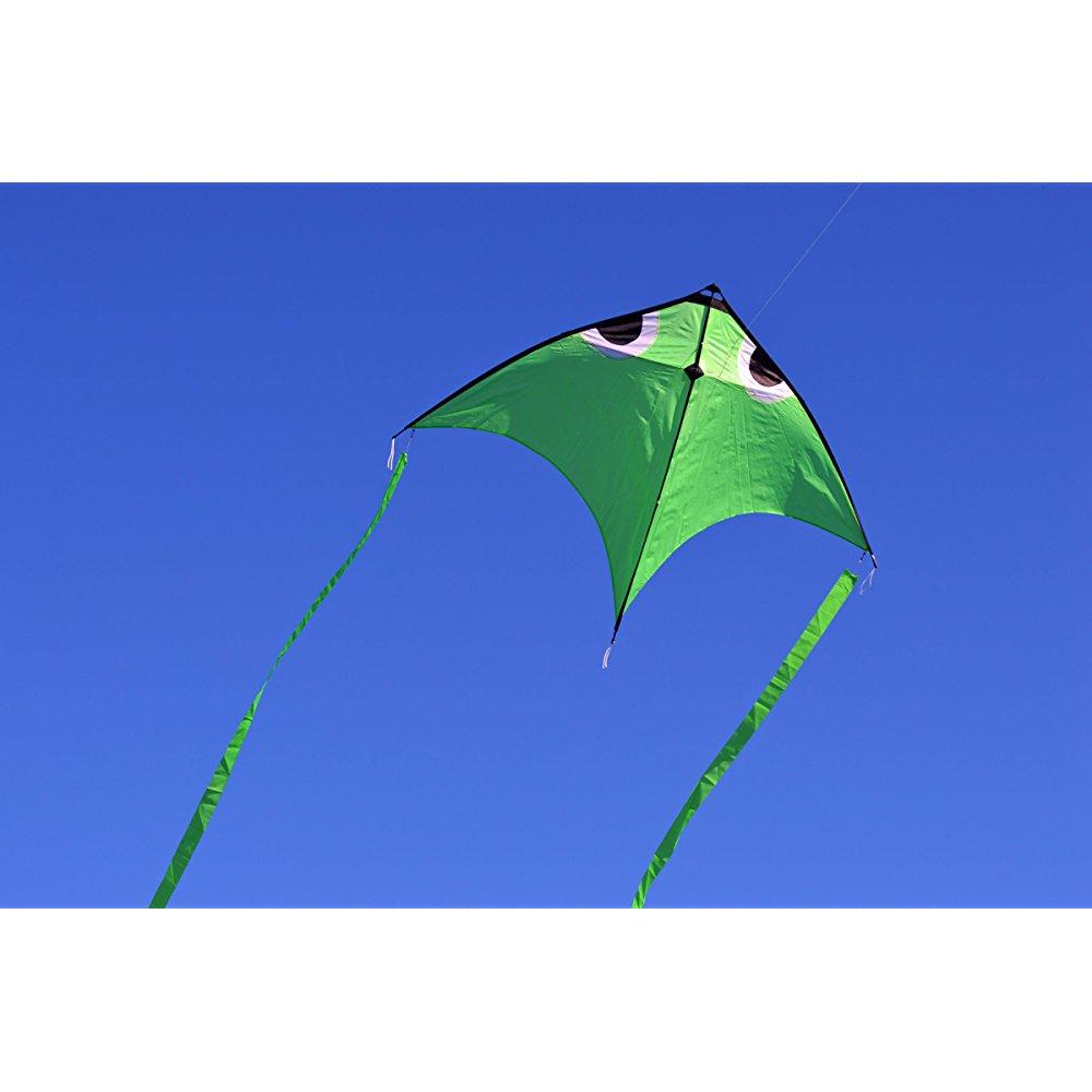delta fish swim in sky kite with flying line and handle large kite for