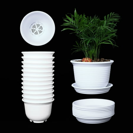 Pot Pond Plants - 10 Pack 6 Inch Plastic Round Drainage Plant Pots Containers with Saucers Trays for Indoor and Outdoor Herbs, Succulents, Cactus and Flowers