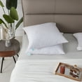 thumbnail image 2 of Martha Stewart  Decorative Feather Pillow Insert (Set of 2) - White, 2 of 4