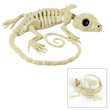 Bone Skeleton Dog Prop Halloween Decoration - Walmart.com