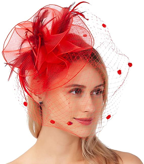 Felizhouse Tea Party Fascinators Pillbox Church Hats for Women Flower Feather Veil Headband Hair Clip 