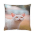 thumbnail image 2 of Ahgly Company Cat Cats Outdoor Throw Pillow, 18 inch by 18 inch, 2 of 6