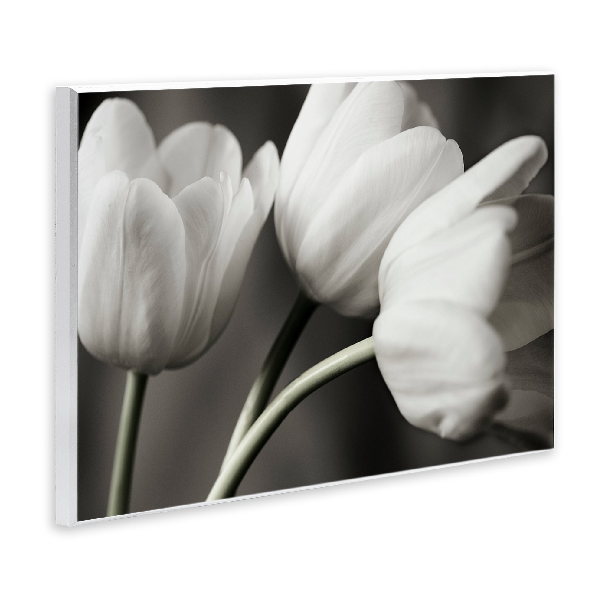 Stupell Industries Row Of Monochrome Tulips Wall Plaque Art, design by Tom Quartermaine