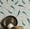 Teal Blue (Texture Vinyl), variant on S4Sassy Peel & Stick Vinyl Wallpaper, Koi Fish Wall Paper Contact Paper Waterproof - Blue, 25"x60", Removable Asian Style Covering for Home Decor in Bedrooms & Living Areas, Renter Spaces, Cabinets