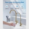 thumbnail image 2 of BENGPAOBA-Lead-Free Stainless Steel Water Purifier Faucet with Solid Brass Valve Anti-Rust Durable RO Filter Faucet Brushed Gold for Kitchen Bar Cafe, 2 of 9