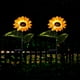 thumbnail image 5 of Xihbxyly Luces de Jardín de Girasol, Diseño Floral Led para Exteriores, Tallos y Hojas Ajustables, Resistentes a La Intemperie, Decoración para Patio, Camino, Activación Nocturna Automática, Paquete, 5 of 7