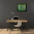 thumbnail image 4 of Johnson, George 24x19 Black Modern Framed Museum Art Print Titled - Port Angeles Falls I, 4 of 5