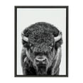 thumbnail image 3 of Kate and Laurel Sylvie Bison Portrait Black and White Framed Canvas Wall Art by Amy Peterson Art Studio, 18x24 Gray, Modern Animal Portrait Art for Wall, 3 of 7