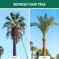 thumbnail image 6 of 6.5-26FT Manual Pole Saw with 8 Fiberglass Poles, Extendable Tree Trimming Set with Canvas Storage Bag, Branch Trimmer for Pruning, Palms, Shrubs, Green, 6 of 9