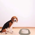 thumbnail image 4 of Placemat for Raised-Edge Dog Feeding Mat to Spills Leak-Proof Floor Protector for Dogs Easy-Clean Dining Mat, 4 of 5