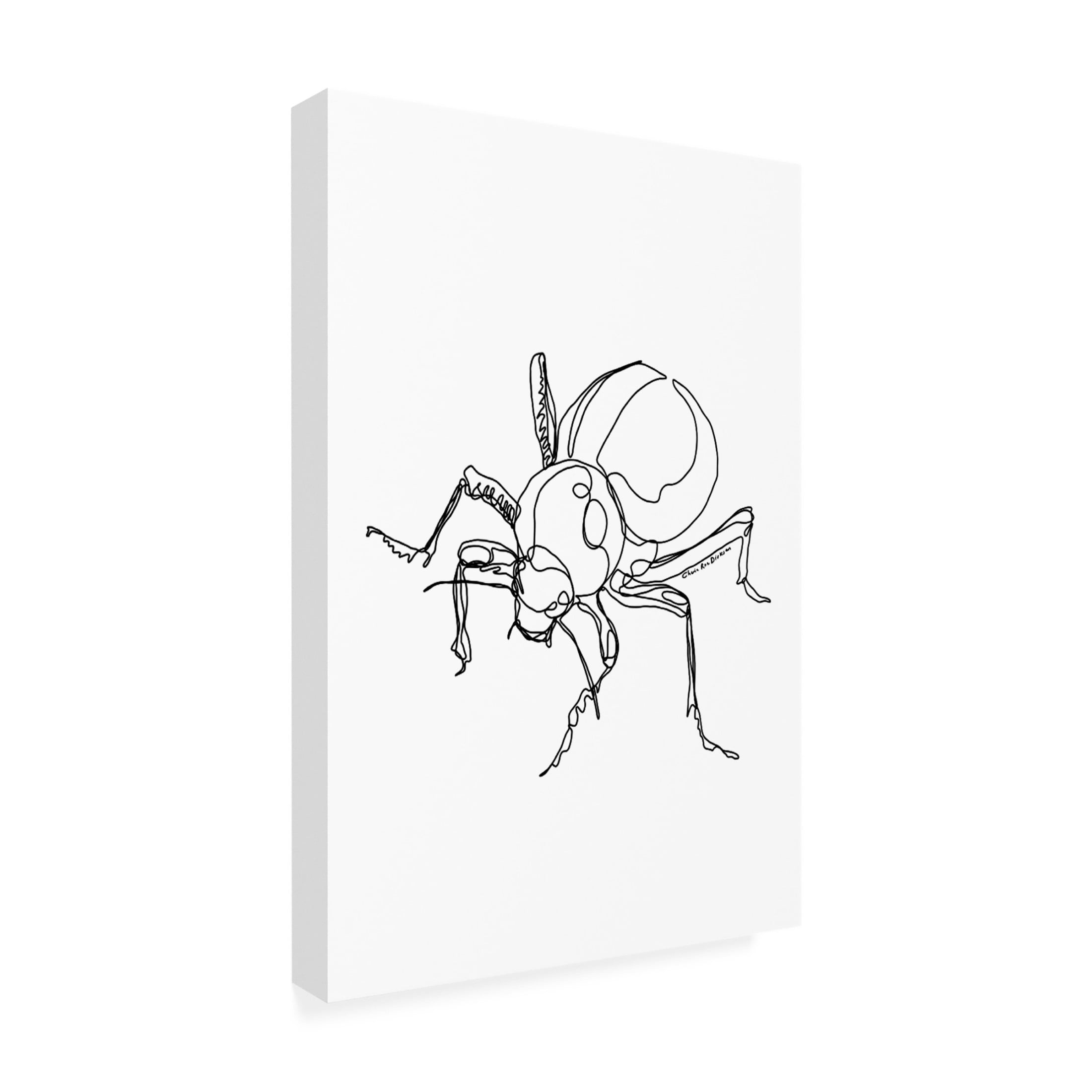 Canvas Wall Art - Cherie Roe Dirksen 'Toktokkie Beetle' Wall Art for Living Room, Bedroom, or Office Décor by Trademark Fine Art - 16 x 24 Inches