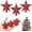 Red, variant on Miaocao 3 Pcs Mini Christmas Tree Topper Small Star Christmas Treetop Ornaments for Mini Tree Holiday Decorative Star for Xmas Home Decor(2.36 Inch,Glitter Silver)