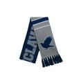 thumbnail image 1 of Harry Potter Ravenclaw Quidditch House Scarf, 1 of 1