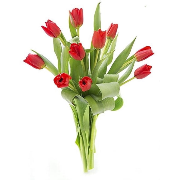 KaBloom : Bouquet of 10 Red Tulips, Next-Day Delivery, Gift for Every Occasion