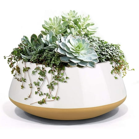 Hisrfocsp Large Succulent Planter Plant Pots, Ceramic Indoor Outdoor 