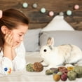 thumbnail image 6 of Qweryboo 16PCS Rabbit Toys Bunny Chew Toys for Teeth, Natural Timothy Hay Chew Treats, Improve Dental Health for Rabbit Bunny Chinchilla Guinea Pig Hamster, Hand Made Safe, 6 of 7