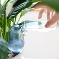 thumbnail image 1 of Regadera transparente, creativa, gotero, hervidor de agua automático, rociador de pntas de plástico para balcón, interior, exterior, jardín Baoblaze gotero de maceta, 1 of 7