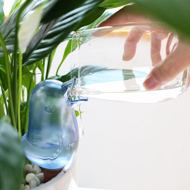 Regadera transparente, creativa, gotero, hervidor de agua automático, rociador de pntas de plástico para balcón, interior, exterior, jardín Baoblaze gotero de maceta