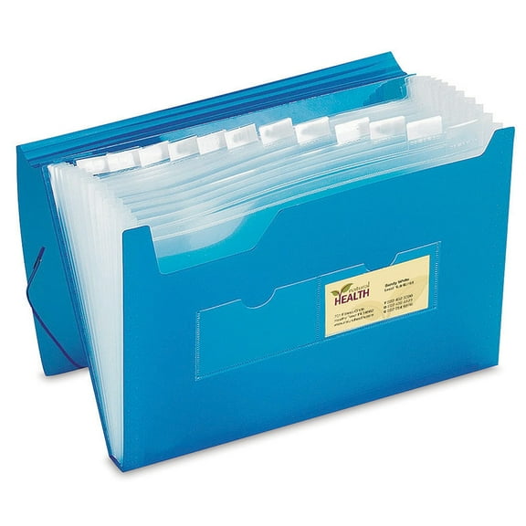 Office Depot Poly 13-Pocket File, Letter Size, Blue, 9111
