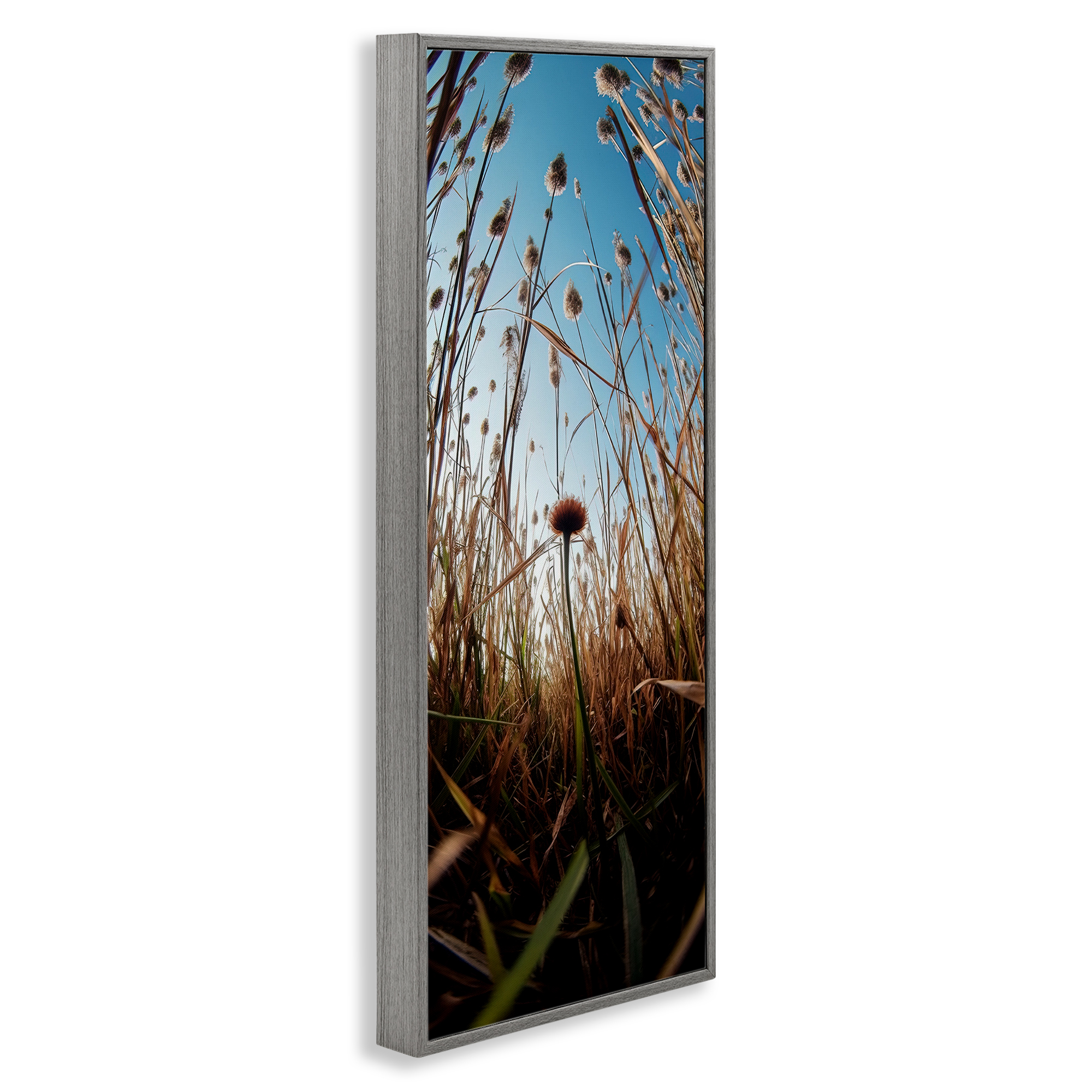 Daydream Botanical Meadow Gray Framed Giclee Art, design by Decent Exposures