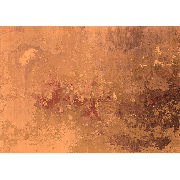 Ahgly Company Indoor Rectangle Oriental Orange Industrial Area Rugs, 2' x 4'