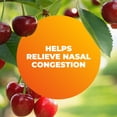 thumbnail image 5 of Zicam Cold Remedy RapidMelts, Homeopathic Cold Shortening, Cherry, 25 count, 5 of 13