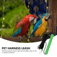 thumbnail image 4 of CIMAXIC Bird Anti-Bite Training Rope Parrot Harness Outdoor Hamster Walking Harness,4.33"X0.59"X0.59", 4 of 5