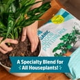 thumbnail image 3 of Back to the Roots Organic Indoor Potting Mix Specialty Blend (6 QT), 3 of 5