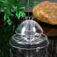 thumbnail image 4 of Fish Tank Snail Trap,Environmental Snail Trap For Aquarium Pest Catcher Planarian Trap Innovative Solution, 4 of 9