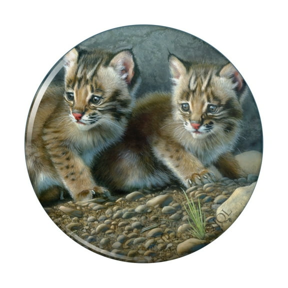 Bobcat Kittens Babies Kitchen Refrigerator Locker Button Magnet