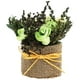 thumbnail image 1 of KAKOWELY Maceta de bonsái artificial con rosas artificiales decorativas para el hogar, 1 of 5